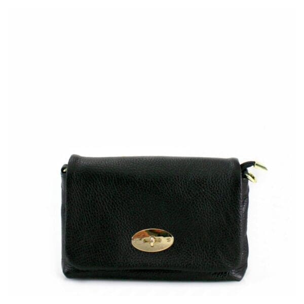 An import for a black cross body bag with a gold clasp named Import placeholder for 11590.